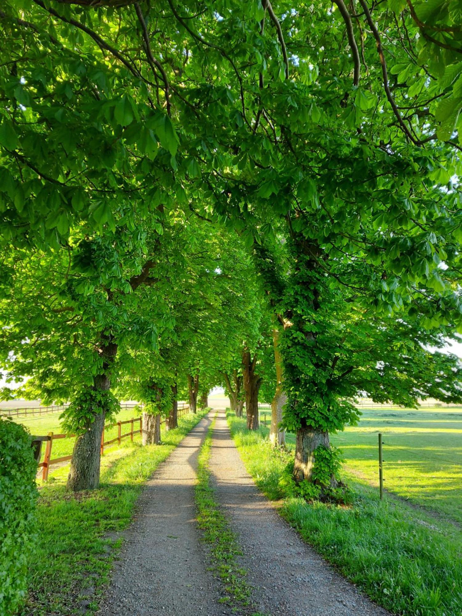 Lantligt Och Lugnt Boende Naera Natur Och Stad Svedala Exterior photo