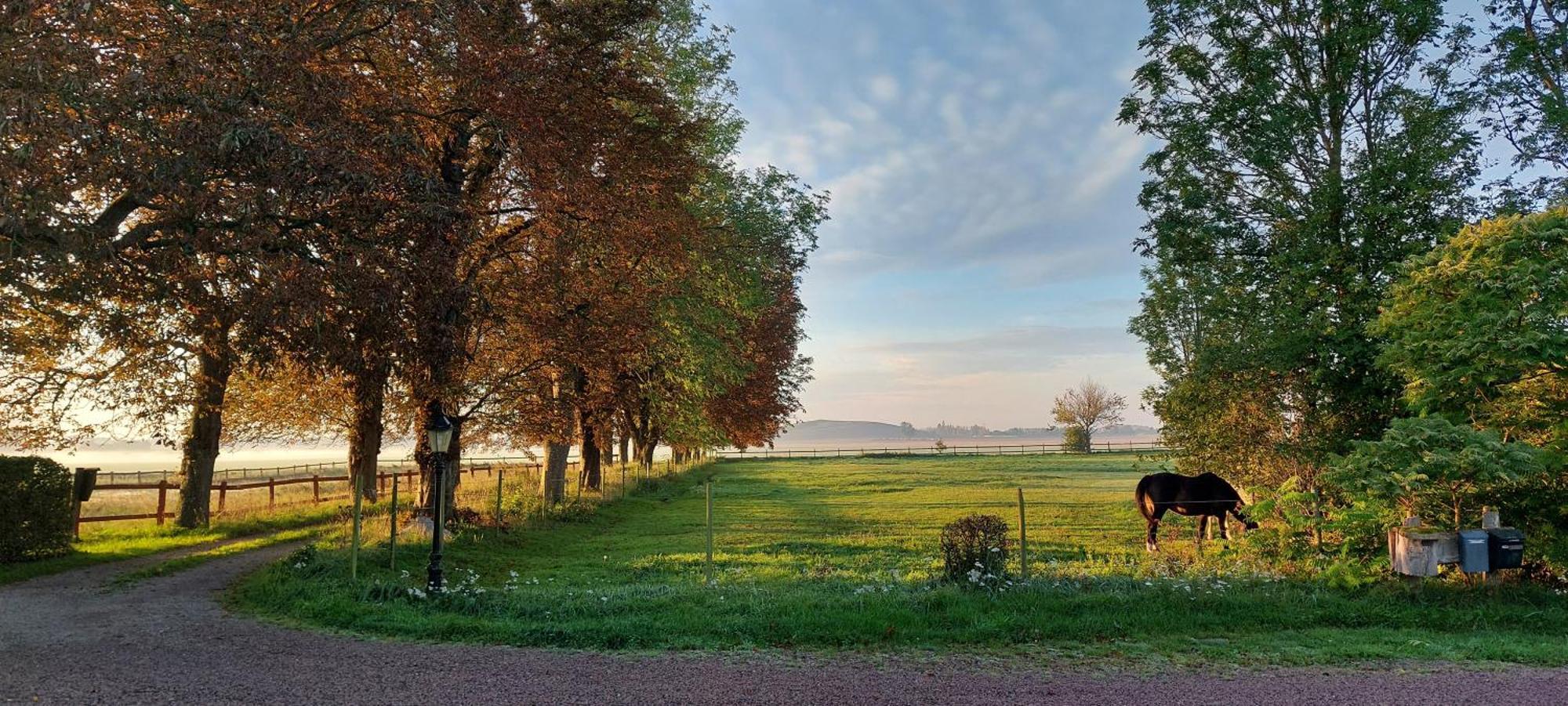 Lantligt Och Lugnt Boende Naera Natur Och Stad Svedala Exterior photo