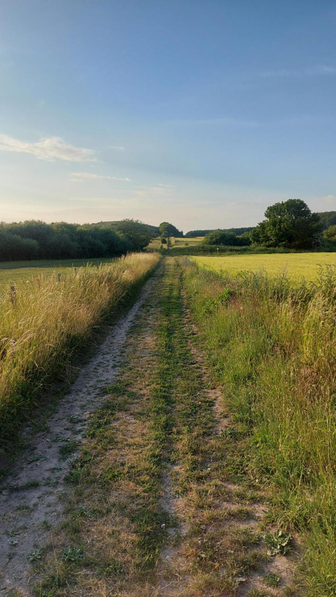 Lantligt Och Lugnt Boende Naera Natur Och Stad Svedala Exterior photo