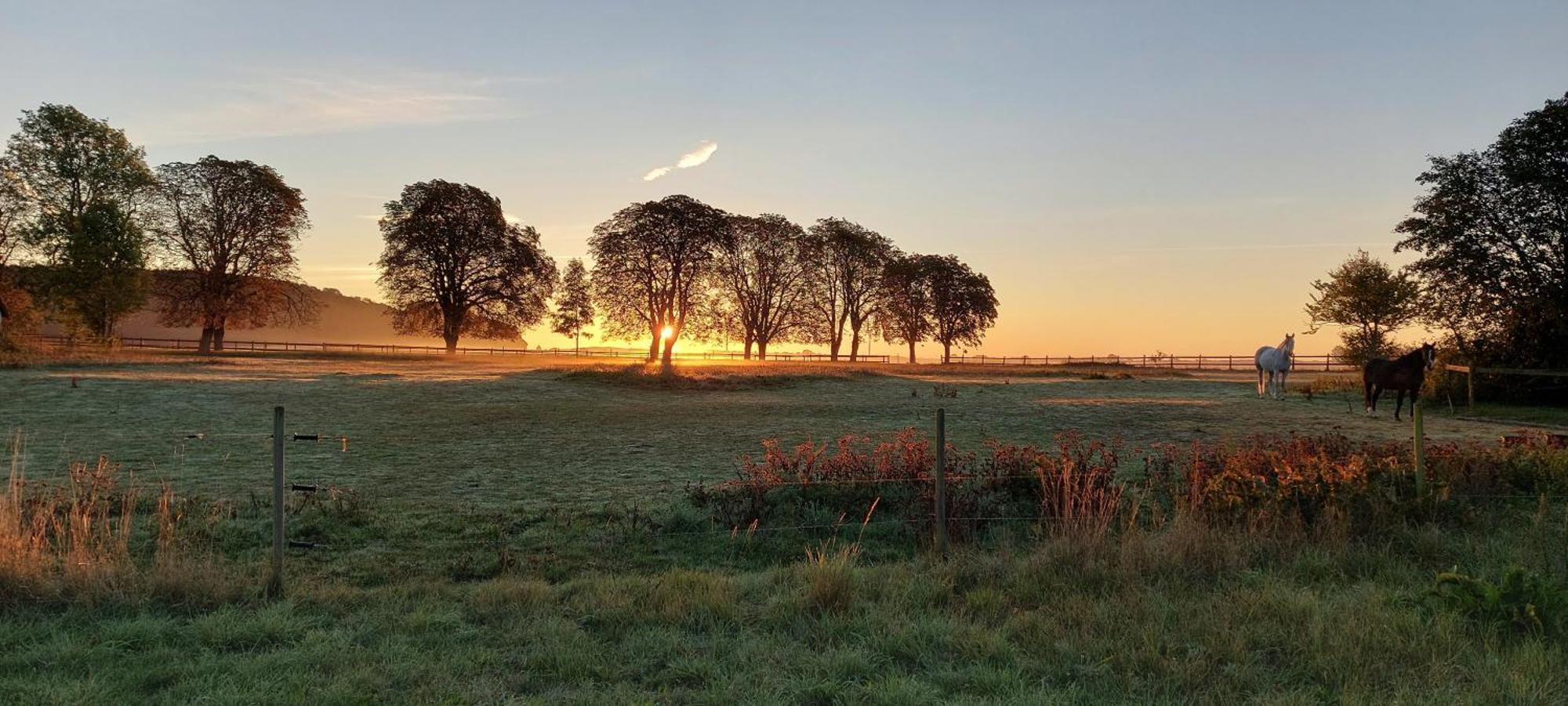 Lantligt Och Lugnt Boende Naera Natur Och Stad Svedala Exterior photo