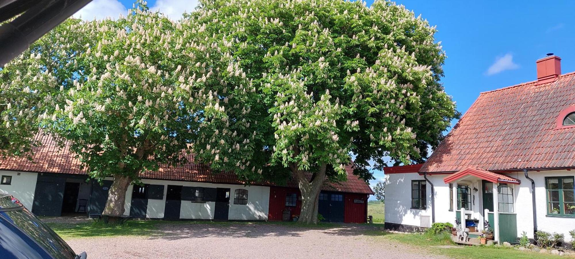 Lantligt Och Lugnt Boende Naera Natur Och Stad Svedala Exterior photo