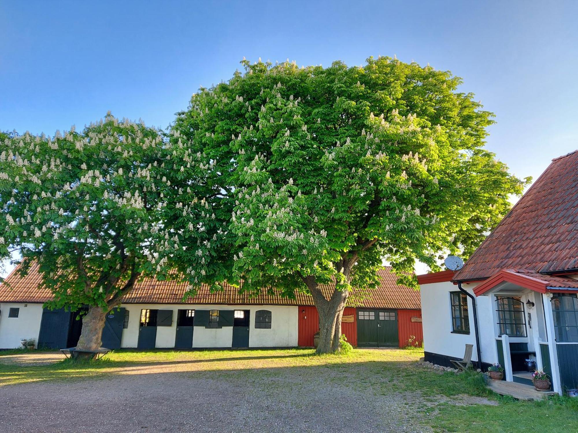 Lantligt Och Lugnt Boende Naera Natur Och Stad Svedala Exterior photo