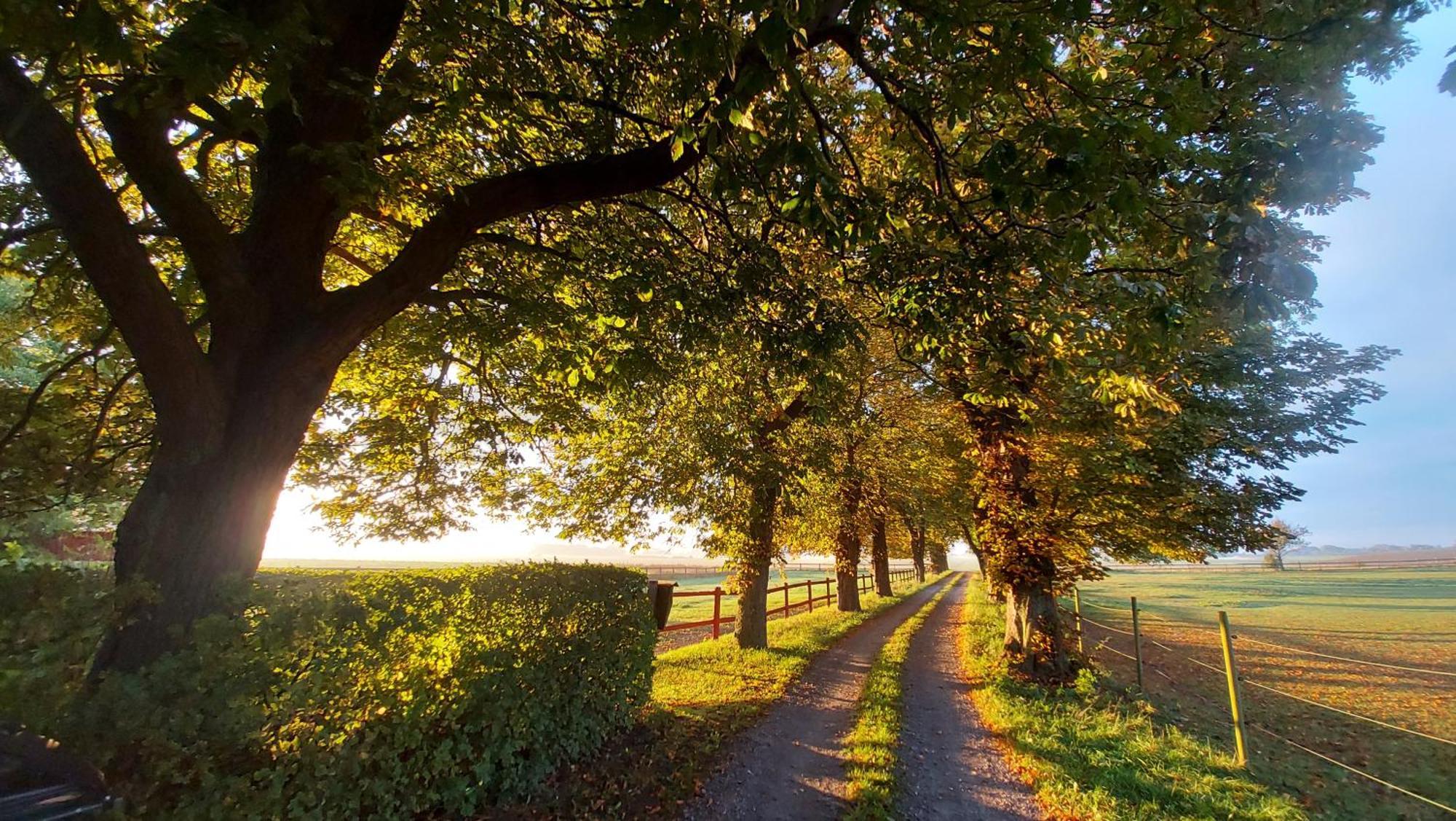 Lantligt Och Lugnt Boende Naera Natur Och Stad Svedala Exterior photo